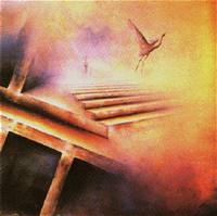 escritores_puertorriqueños