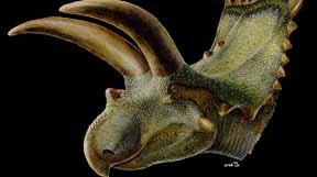 dinosaurio_con_cuernos