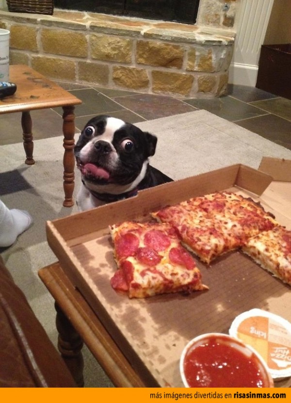 El perro y la pizzza